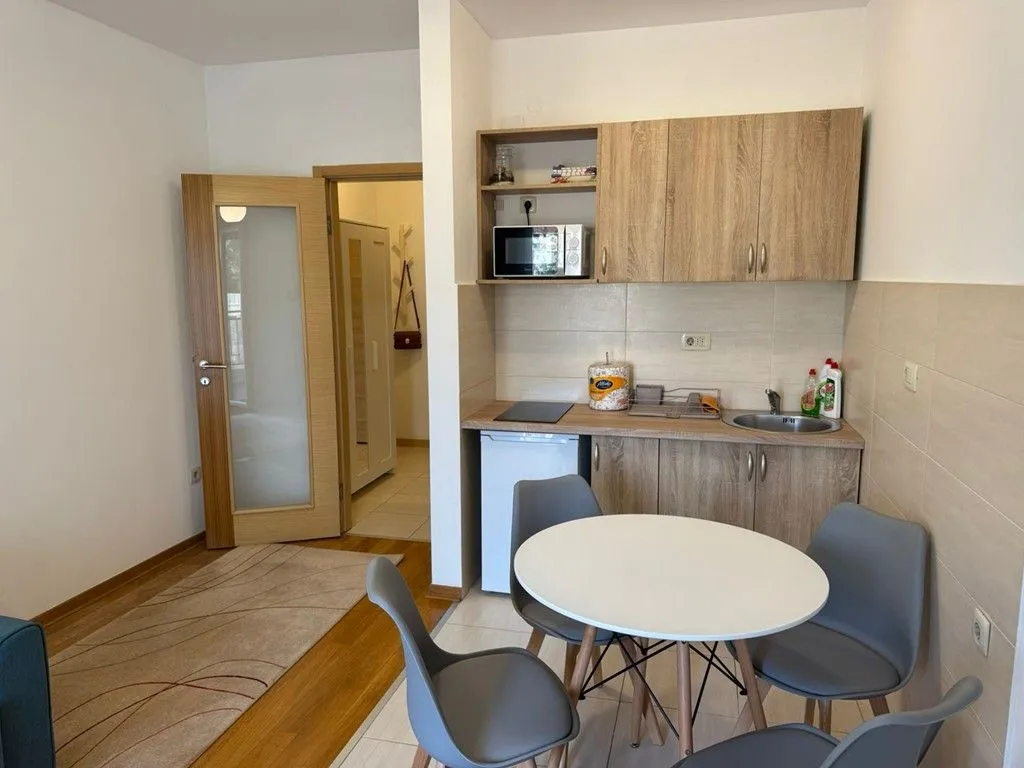 Rent, studio apartment, 28m², Blok 6, Podgorica