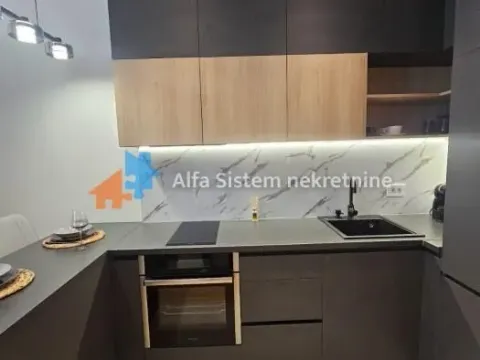 Izdavanje, jednosoban stan, 40m², Novi Beograd Blok 65, Novi Beograd Sve Podlokacije - image 3