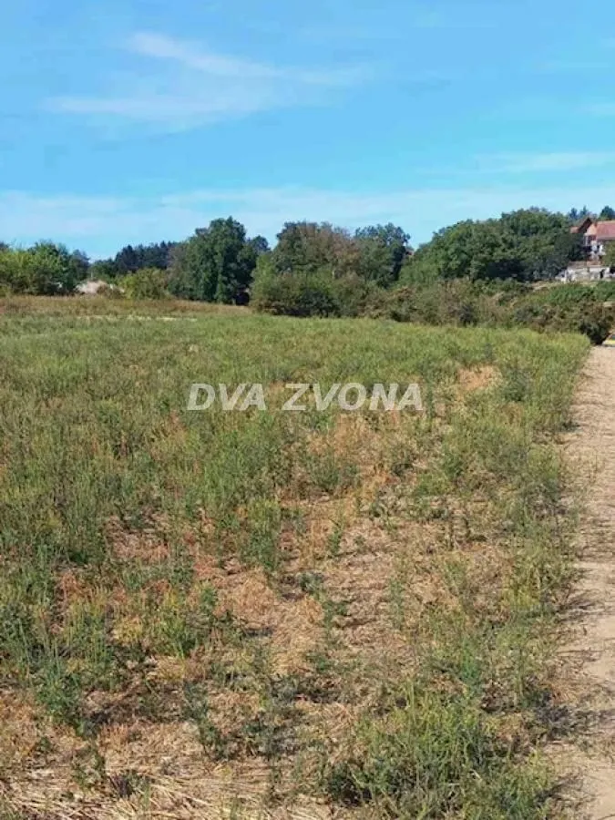 Pogled na zemljište sa zelenilom i drvećem.