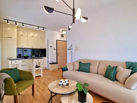 Prodaja, jednosoban stan, 41m², Budva, Crna Gora - image 17