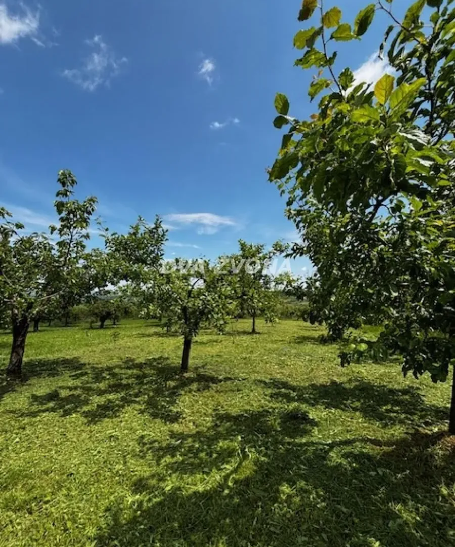 Prodaja, kuća, 56m², Čortanovci, Inđija