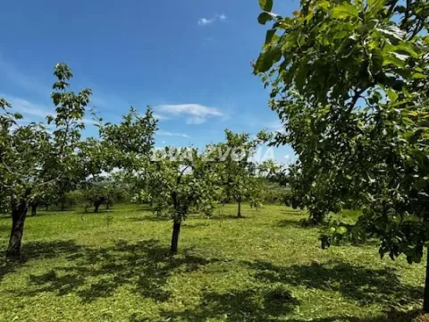 Prodaja, kuća, 56m², Čortanovci, Inđija - image 19