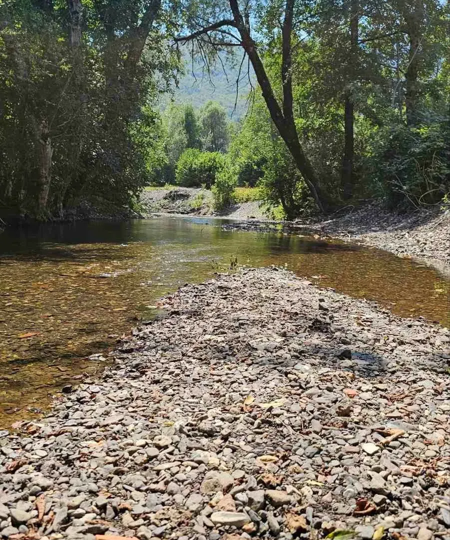 Prodaja, plac, 1600m², Kolašin, Crna Gora