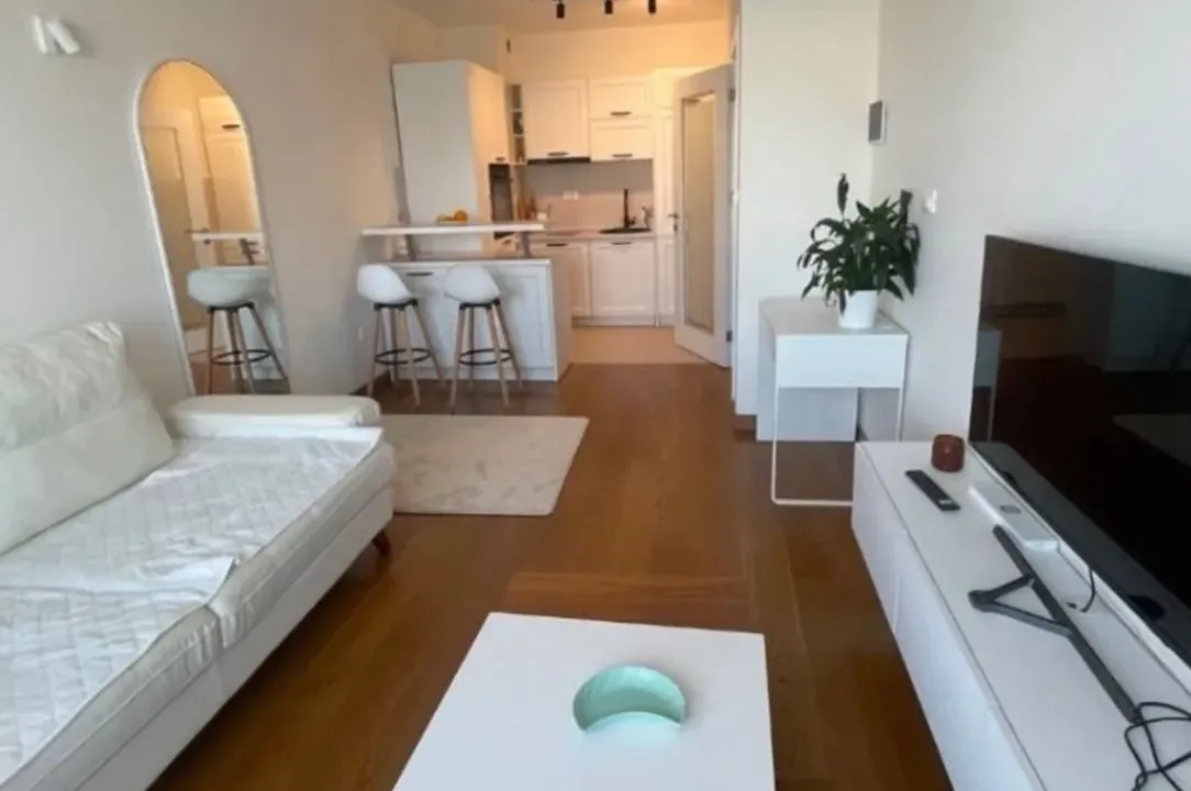 Izdavanje, jednosoban stan, 46m², Tološka šuma, Podgorica