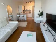 Izdavanje, jednosoban stan, 46m², Tološka šuma, Podgorica - image 1