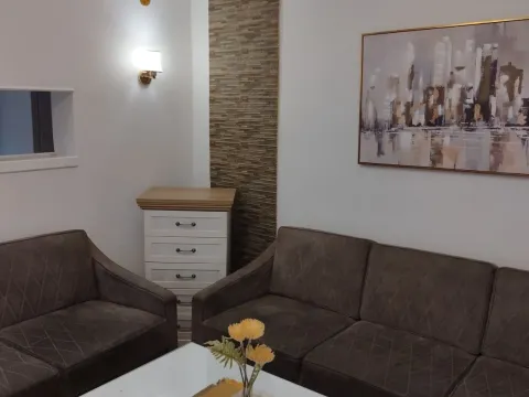 Rent, one bedroom apartment, 55m², Drač, Podgorica - image 2