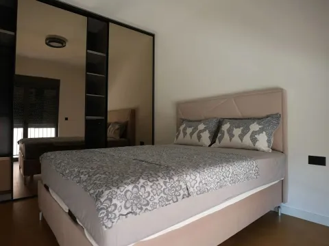 Izdavanje, jednosoban stan, 47m², Dalmatinska ulica, Podgorica - image 8