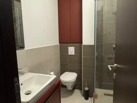 Izdavanje, jednosoban stan, 30m², Zagorič, Podgorica - image 5