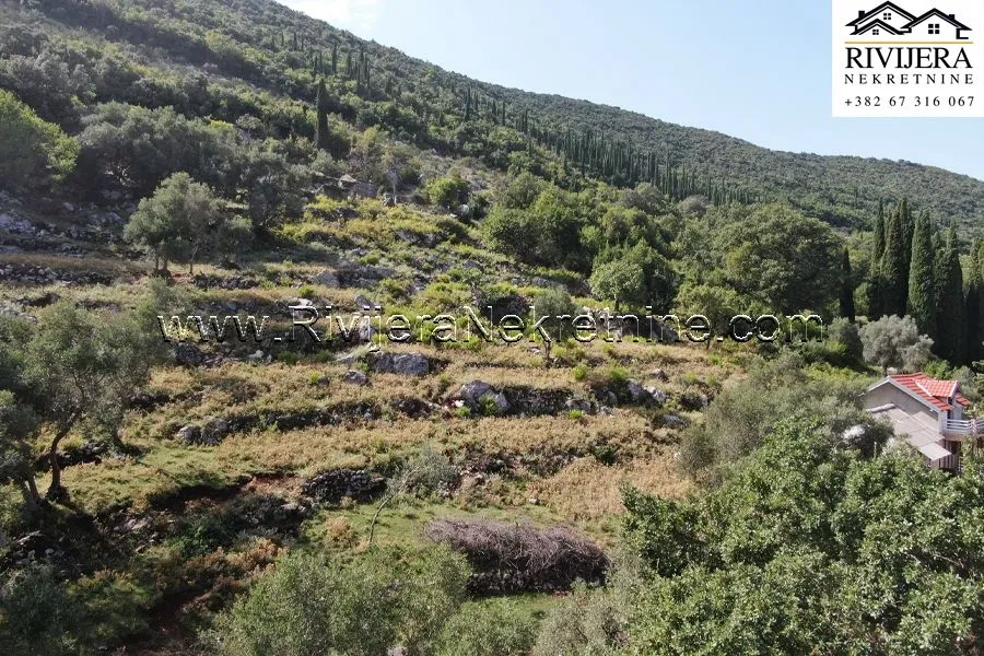 Prodaja, plac, 4323m², Žvinje, Herceg Novi