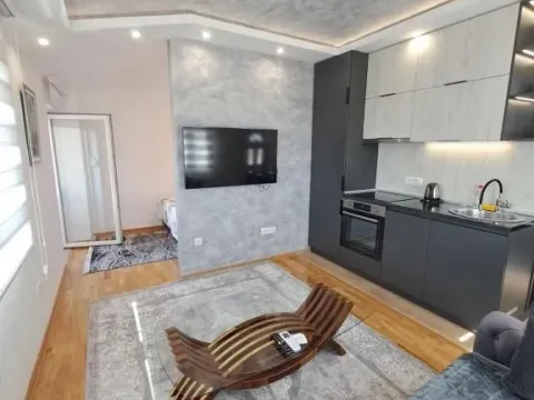 Izdavanje, jednosoban stan, 42m², Stara Varoš, Podgorica - image 5