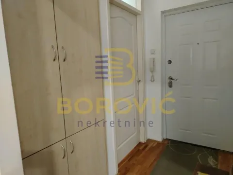 Izdavanje, dvosoban stan, 45m², Karaburma, Palilula Sve Podlokacije - image 2