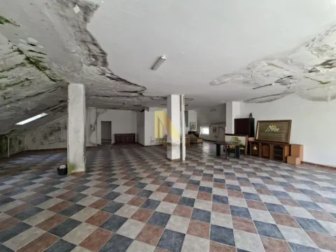 Prodaja, poslovni prostor, 1105m², Podbara, Novi Sad Sve Podlokacije - image 5