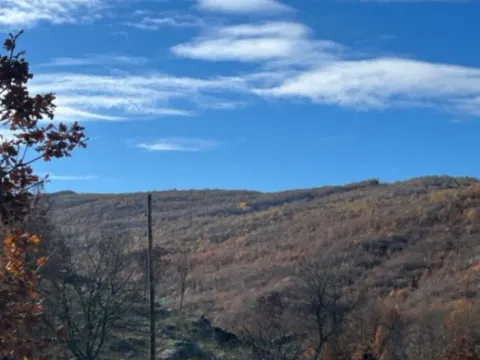 Sale, land lot, 253100m², Nikšić, Crna Gora - image 2