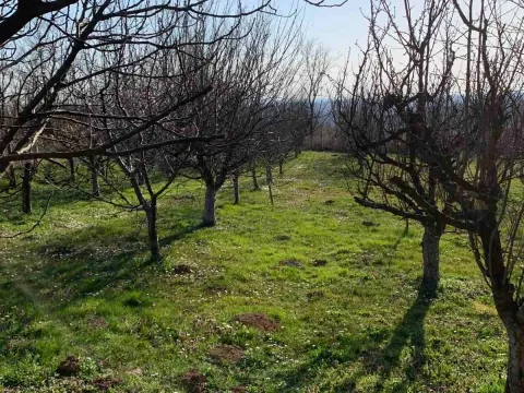 Sale, house, 370m², Sopot, Beograd - image 4