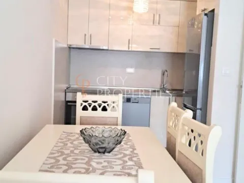 Izdavanje, stan, 46m², Central Point, Podgorica - image 7