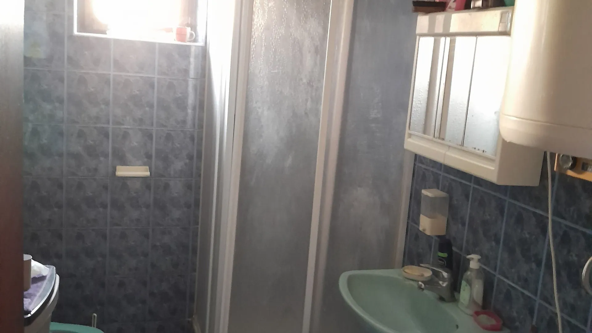 Sale, house, 200m², Bački Petrovac, Novi Sad