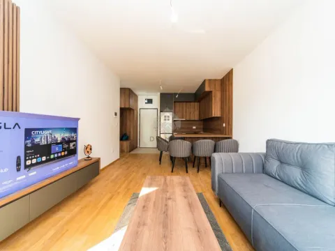 Rent, one bedroom apartment, 47m², Stari Aerodrom, Podgorica - image 1