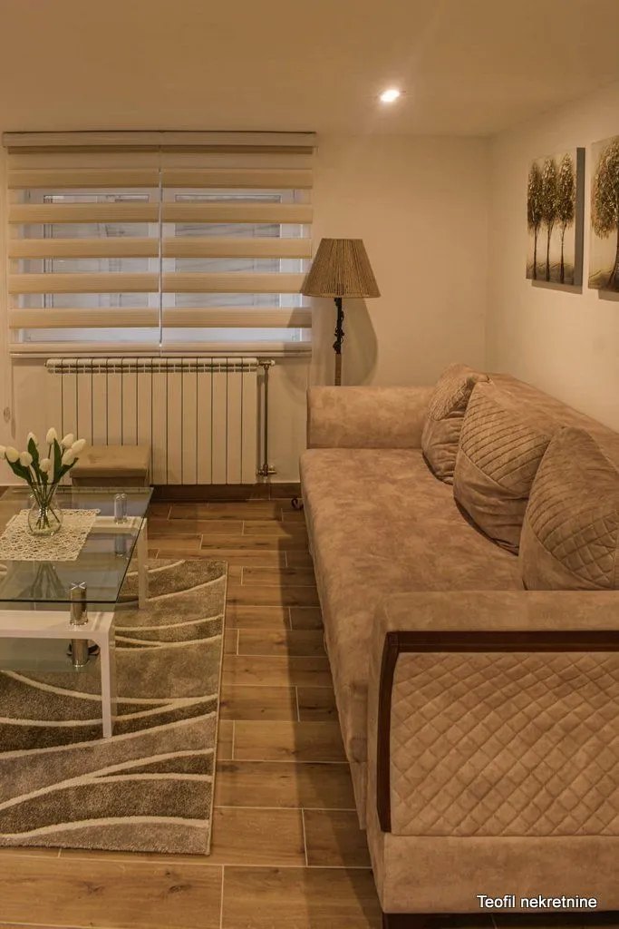 Izdavanje, dvosoban stan, 74m², Južni Bulevar, Vračar Sve Podlokacije