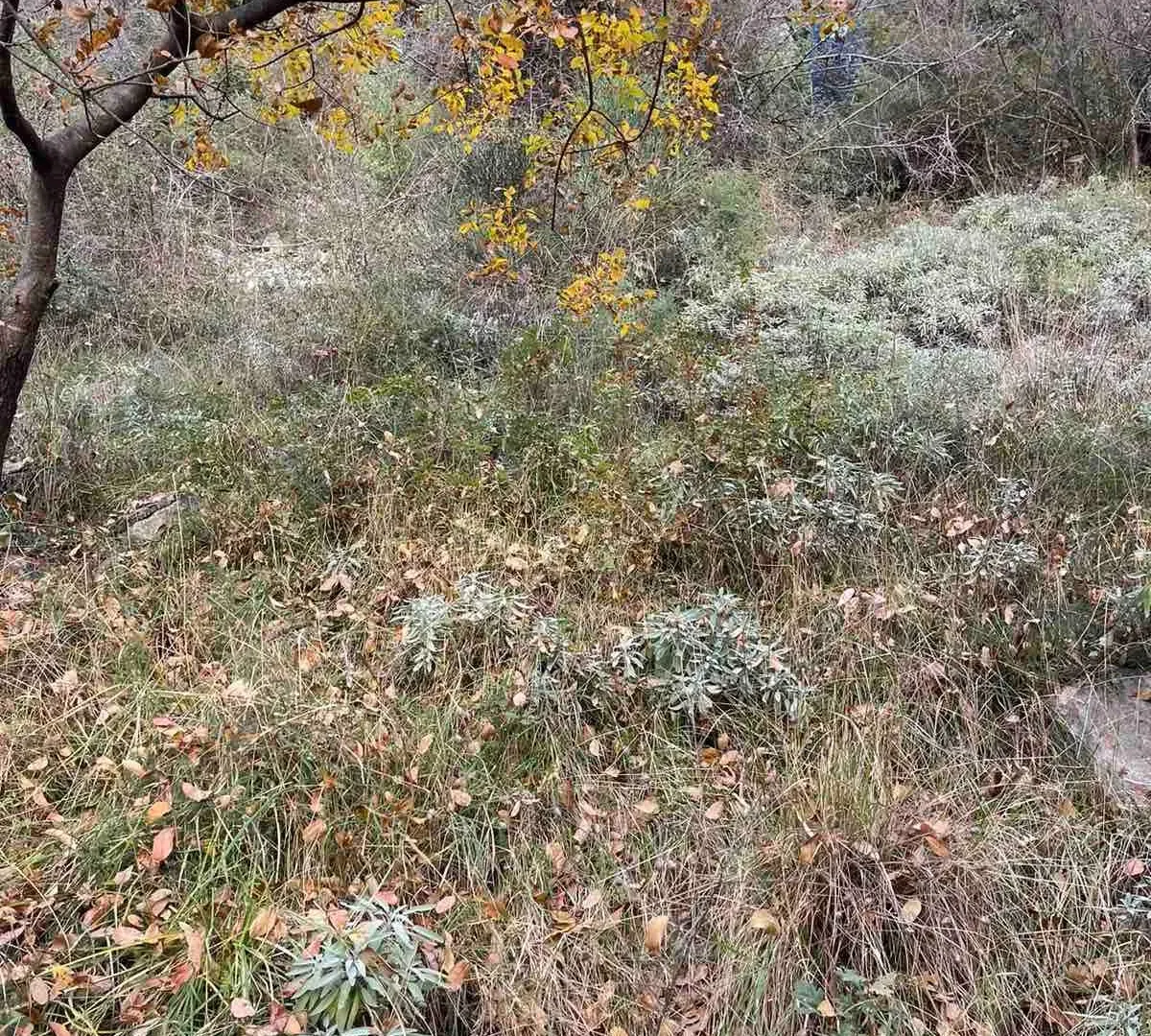 Prodaja, plac, 1282m², Herceg Novi, Crna Gora