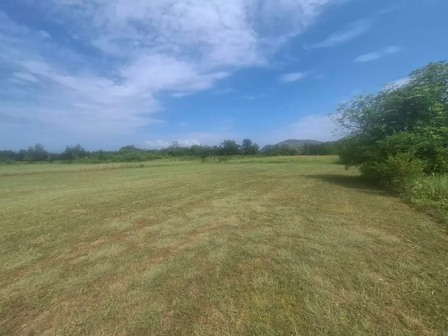 Pogled na prostrano travnato zemljište sa zelenilom i nebom u pozadini.