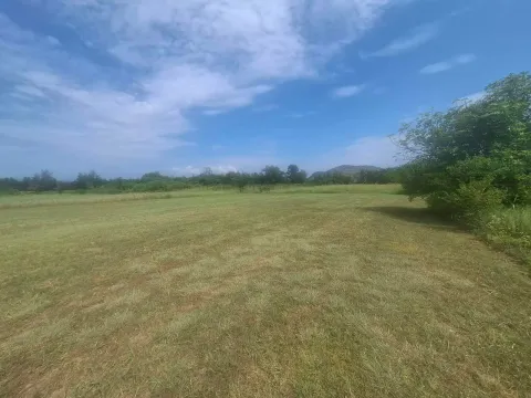 Pogled na prostrano travnato zemljište sa zelenilom i nebom u pozadini. - image 5