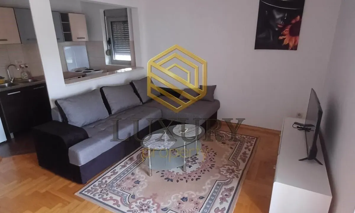 Izdavanje, jednosoban stan, 45m², Stari Aerodrom, Podgorica