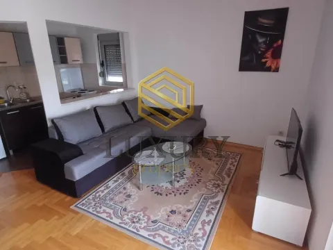 Izdavanje, jednosoban stan, 45m², Stari Aerodrom, Podgorica - image 1