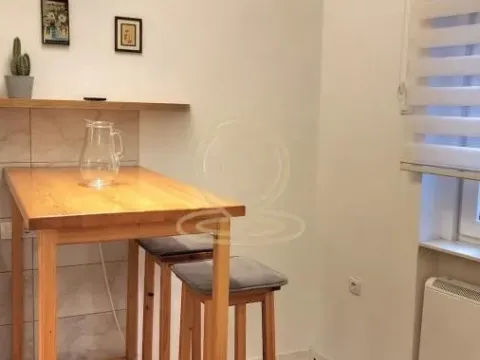 Izdavanje, jednosoban stan, 37m², Stari Grad, Beograd - image 16