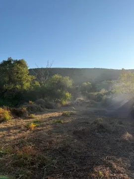 Pogled na zemljište sa rastinjem i drvećem. - image 4