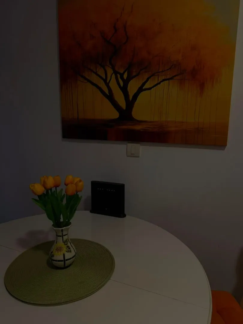Rent, one bedroom apartment, 45m², Centar, Budva