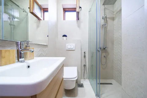 Modernly equipped bathroom with a walk-in shower, washbasin, and wall-hung toilet. - image 20