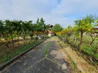 Prodaja, kuća, 318m², Vrbovno, Lazarevac - image 3