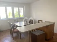 Izdavanje, dvosoban stan, 55m², Zemun Gornji Grad, Zemun Sve Podlokacije - image 5
