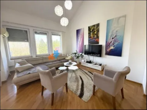 Izdavanje, kuća, 320m², Višnjička Banja, Palilula Sve Podlokacije - image 5