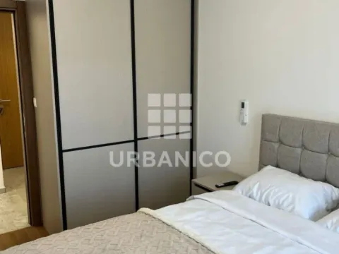 Izdavanje, jednosoban stan, 50m², Centar, Podgorica - image 4