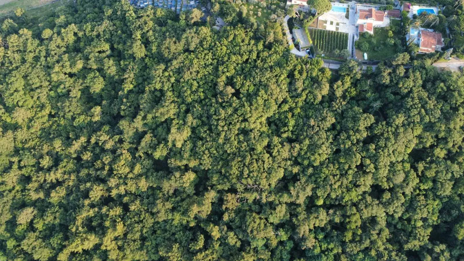 Prodaja, plac, 3728m², Herceg Novi, Crna Gora