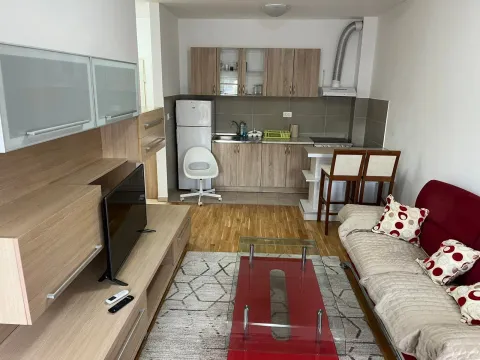 Rent, one bedroom apartment, 59m², Central Point, Podgorica - image 1070