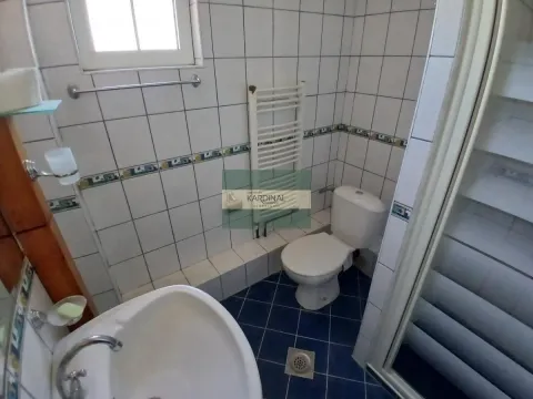 Sale, house, 241m², Centar, Jagodina - image 16