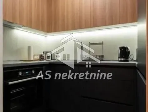 Izdavanje, dvosoban stan, 55m², Južni Bulevar, Vračar Sve Podlokacije - image 10