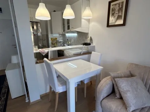 Izdavanje, dvosoban stan, 40m², Donji Dorćol, Dorćol Sve Podlokacije - image 2