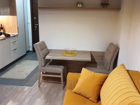 Izdavanje, garsonjera, 25m², Pod Kuk, Tivat - image 4