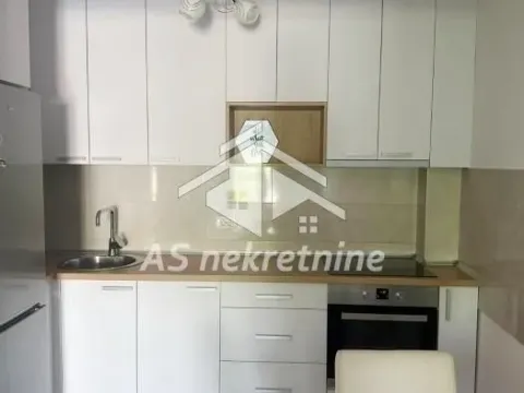 Izdavanje, dvosoban stan, 54m², Južni Bulevar, Vračar Sve Podlokacije - image 8