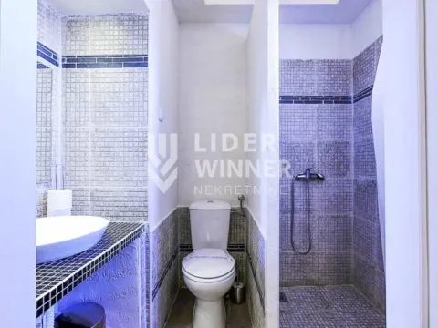 Izdavanje, ugostiteljski objekat, 800m², Ugrinovci, Gornji Milanovac - image 11