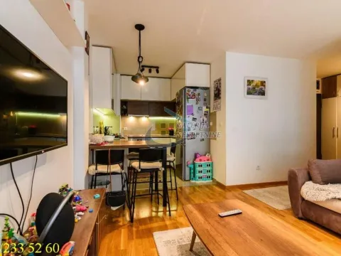 Sale, two bedroom apartment, 44m², Višnjička Banja, Palilula Sve Podlokacije - image 5