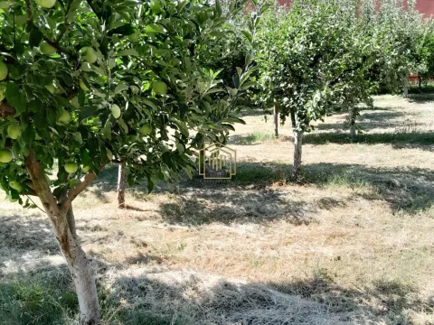 Prodaja, kuća, 212m², Martinići, Danilovgrad - image 2