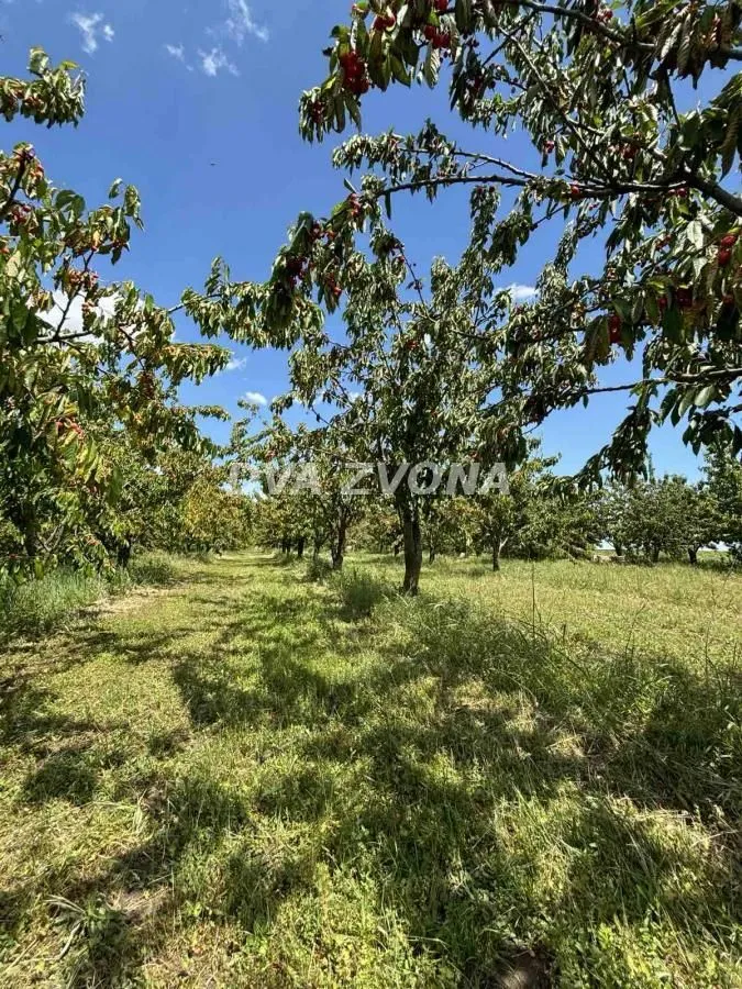 Prodaja, plac, 28700m², Novi Slankamen, Inđija