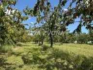 Sale, land lot, 287m², Novi Slankamen, Inđija - image 9