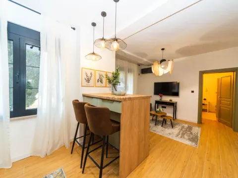 Izdavanje, jednosoban stan, 45m², Preko Morače, Podgorica - image 6