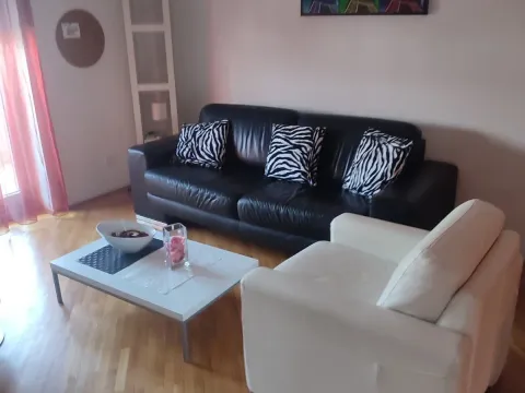 Izdavanje, jednosoban stan, 50m², Preko Morače, Podgorica - image 2