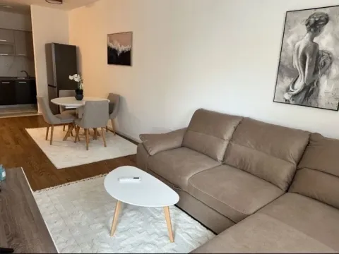 Izdavanje, jednosoban stan, 44m², Pobrežje, Podgorica - image 5